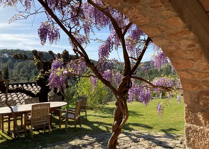 Mas De La Giralde - Bed and Breakfast